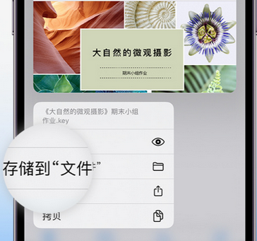 铁力apple维修中心分享iPhone文件应用中存储和找到下载文件