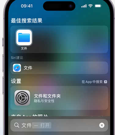 铁力apple维修中心分享iPhone文件应用中存储和找到下载文件