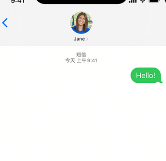 铁力apple维修iPhone上无法正常发送iMessage信息