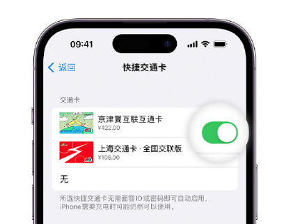 铁力apple维修点分享iPhone上更换Apple Pay快捷交通卡手绘卡面 