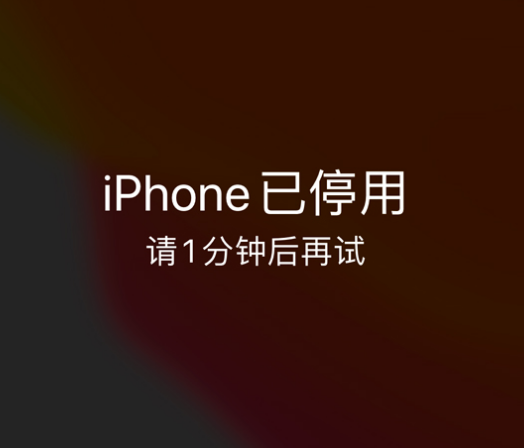 铁力苹果手机维修分享:iPhone 显示“不可用”或“已停用”怎么办？还能保留数据吗？ 