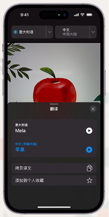 iPhone14通过摄像头取景实时翻译文本方法教程