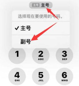 铁力苹果14维修店分享iPhone 14 Pro Max使用副卡打电话的方法 