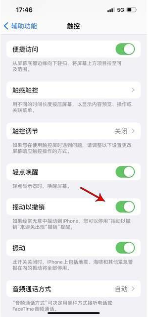 铁力苹果手机维修分享iPhone手机如何设置摇一摇删除文字 