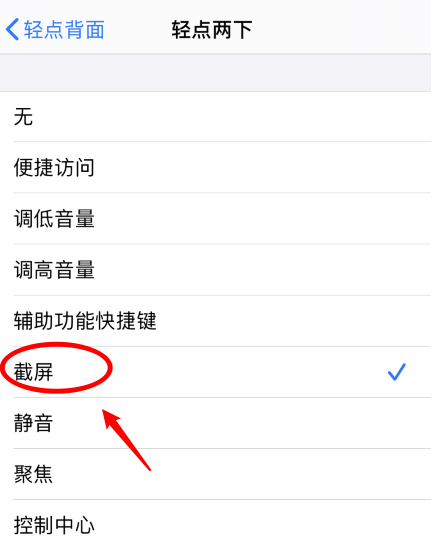 铁力苹果手机维修分享iPhone12如何启用双击截屏 